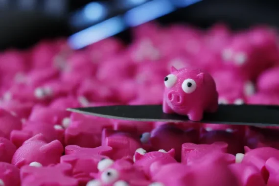 Piglets