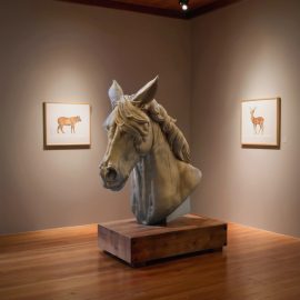 Thoroughbred horse head