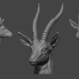 Deer head with large horns