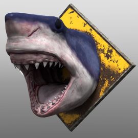 Shark head with real features