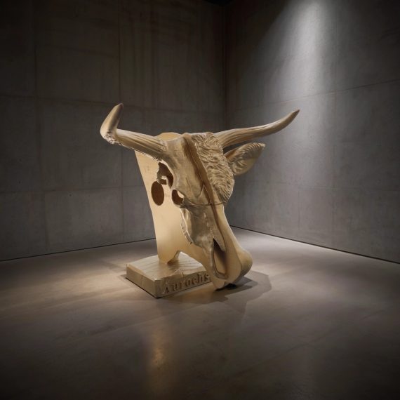 bull head and skull