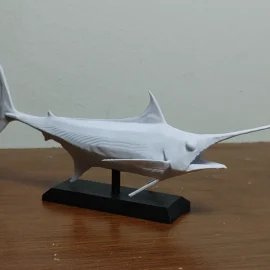 fast fish
