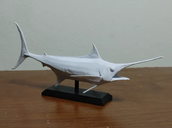 fast fish