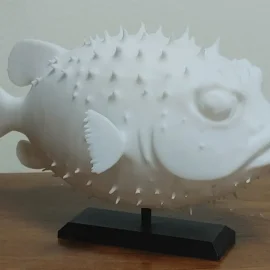 spiny fish
