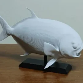 office fish