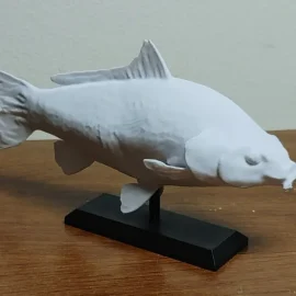 fish