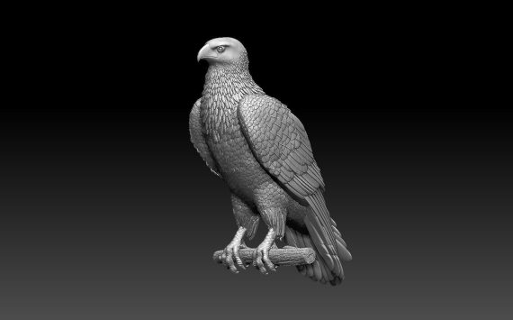 free falcon