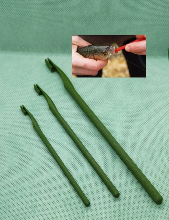 Remove the hook from the fish