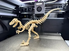 Philocyraptor