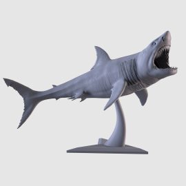 Shark in terrifying detail