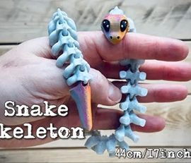Snake skeleton