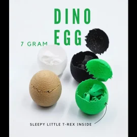 بيضة تنين صغير