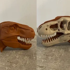 رآس ديناصور بنص هيكل عظمي